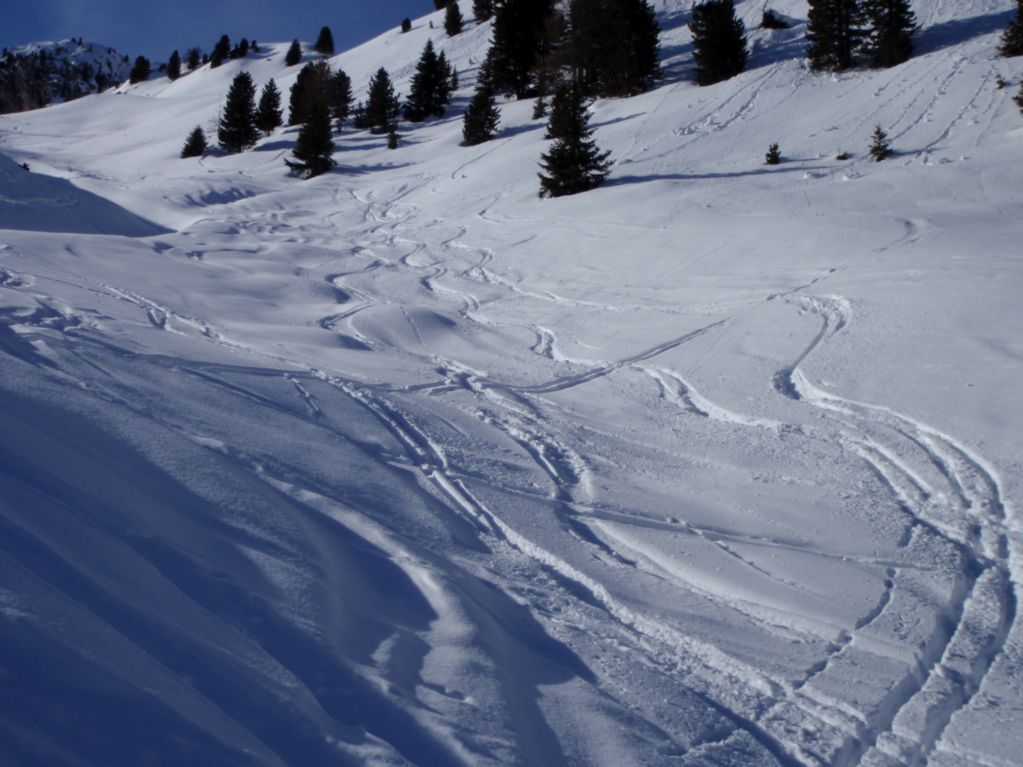 skialp-vallaccia_11 The very pleasant way down before entering the woods
